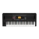 Korg EK-50 61-key Arranger Keyboard Controller - (Lahore-Pakistan)