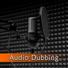 Audio Dubbing Service